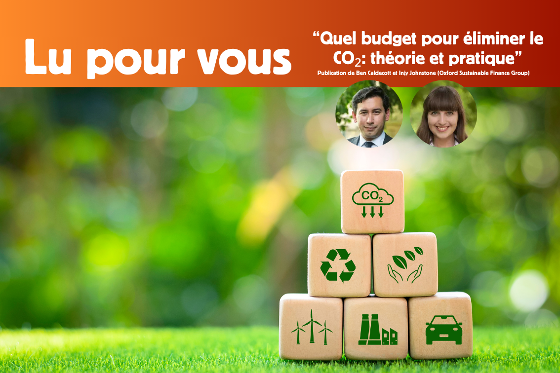 The elimination of CO₂ faces its main challenge: its price