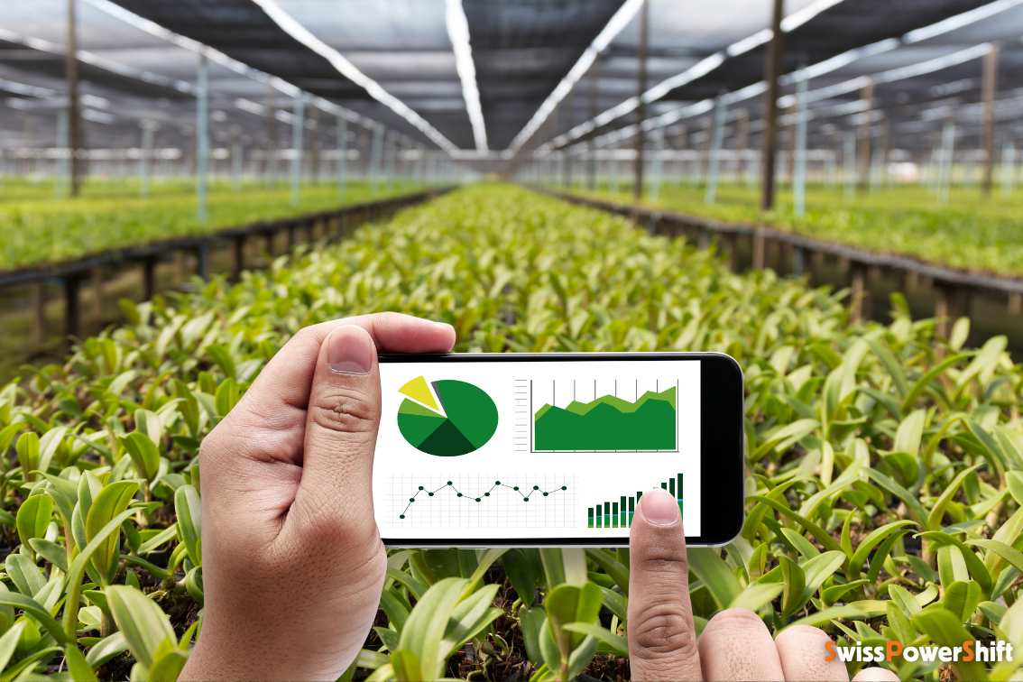 Agrivoltaics between promise and reality