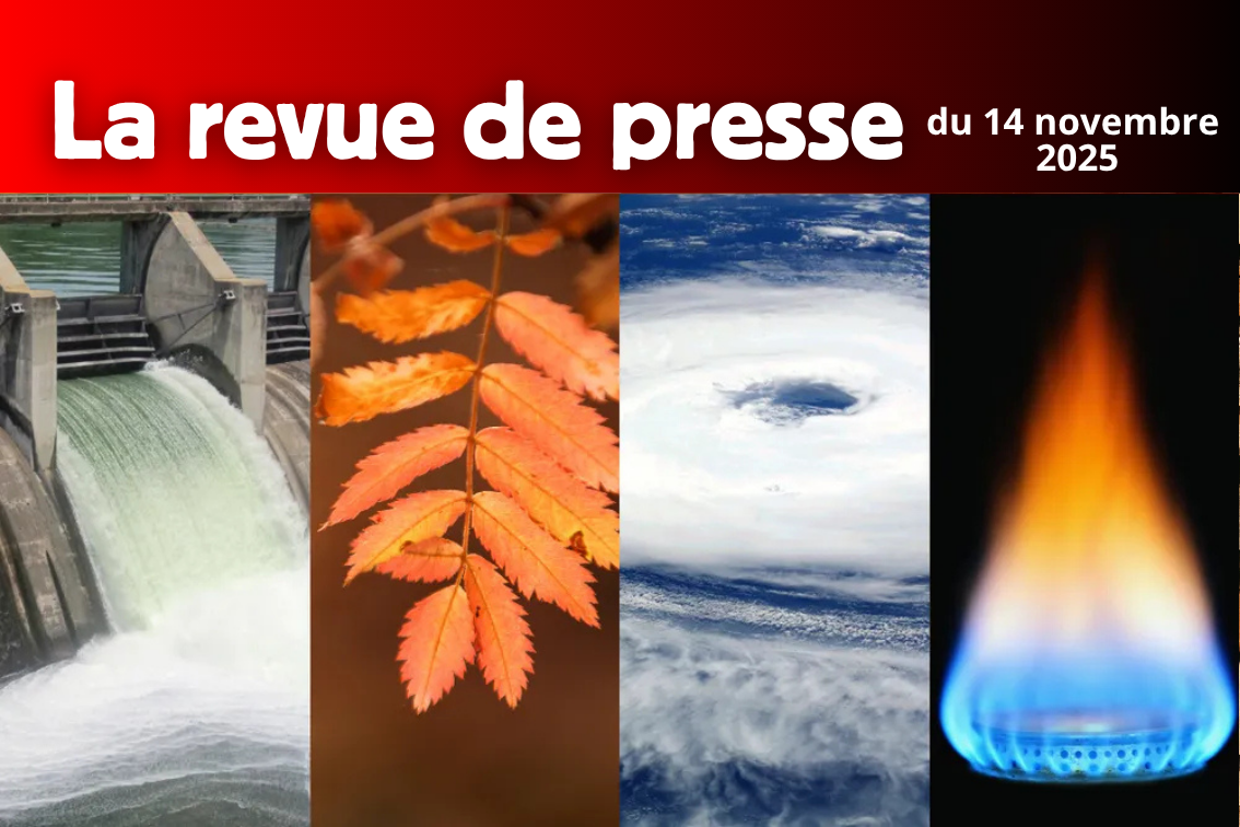 L'actualité en bref